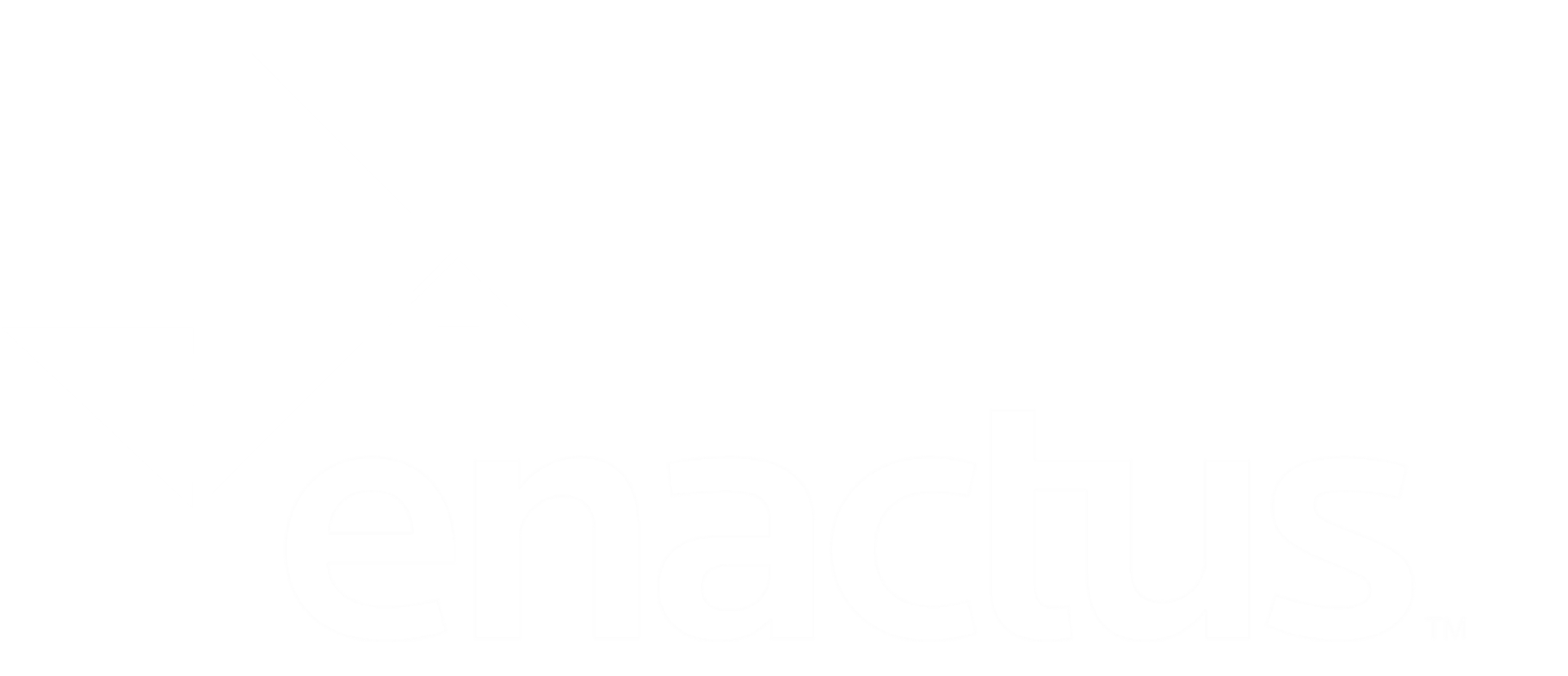 Enactus LogoMonotone White